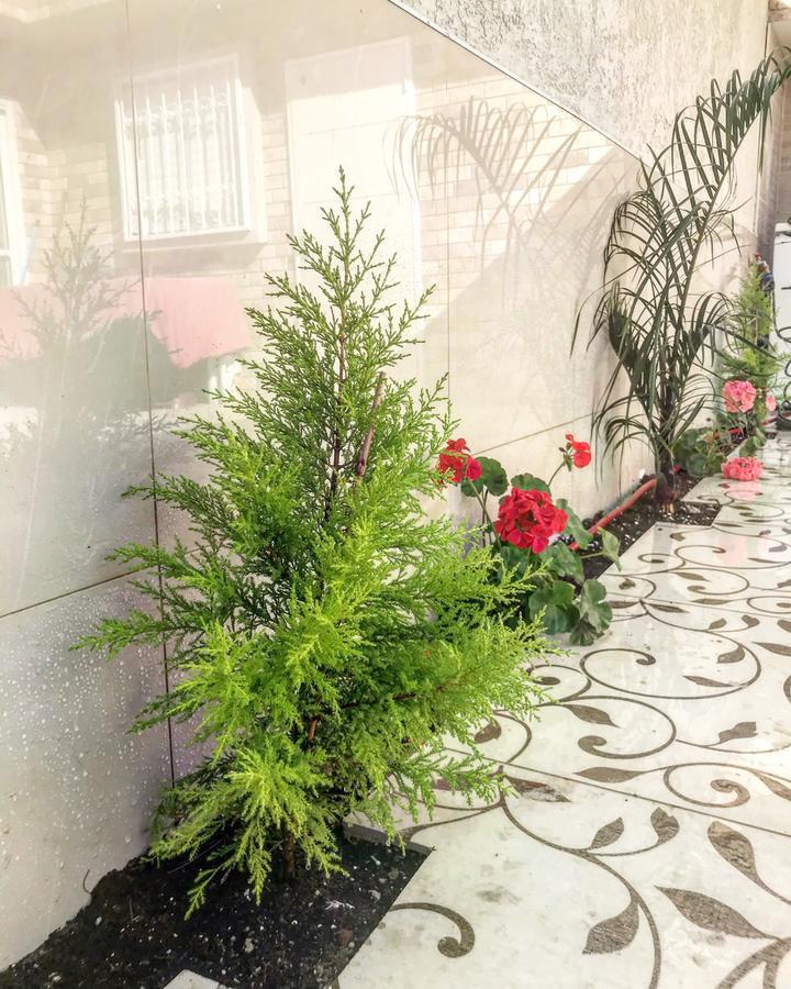 Shahal Apartments Beersheba Exterior foto